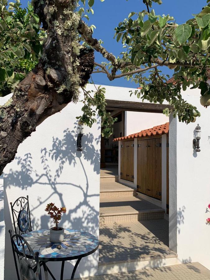 Casa Da Oliveira Bed & Breakfast Pedrogao Grande Luaran gambar
